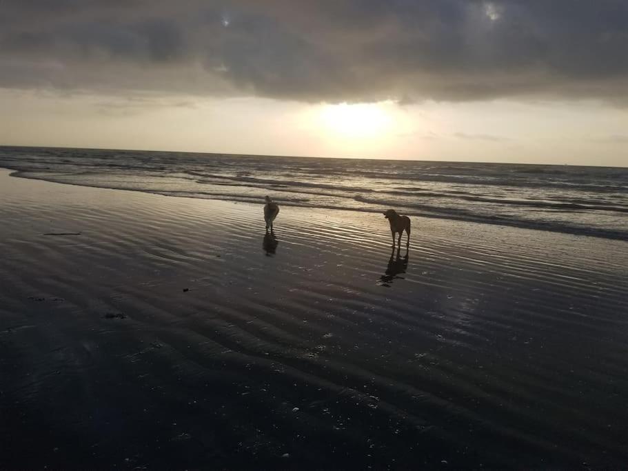 Paradise Lagoon*Bayhouse Fishing*Beach*Dogfriendly Galveston Bagian luar foto