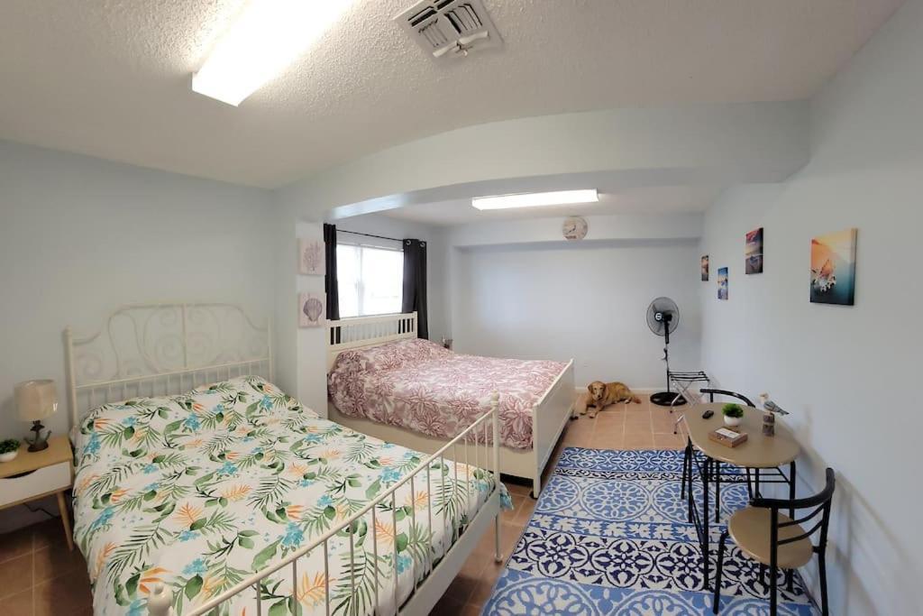 Paradise Lagoon*Bayhouse Fishing*Beach*Dogfriendly Galveston Bagian luar foto