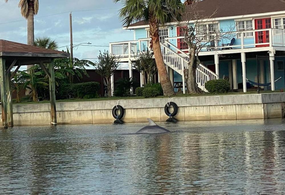 Paradise Lagoon*Bayhouse Fishing*Beach*Dogfriendly Galveston Bagian luar foto